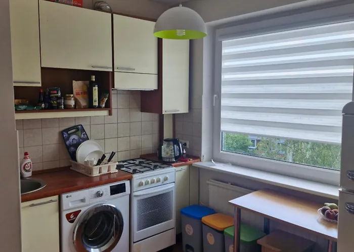 Penthouse Apartment Baltupiai
